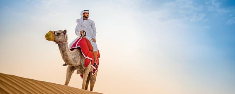 Ausflug in die Wüste