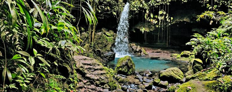 Ausflug auf Dominica