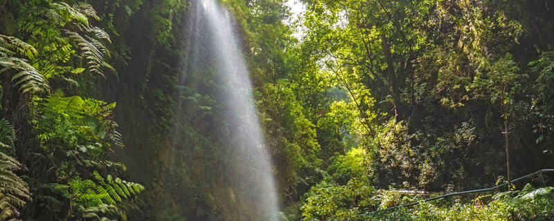 Ausflug auf La Palma