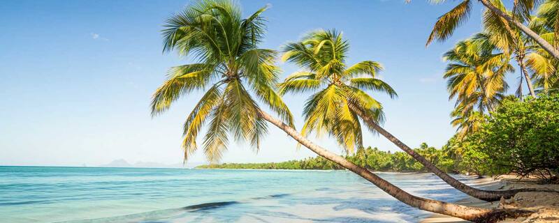 AIDA Ausflug auf Martinique: Ein ganzer Tag am Strand