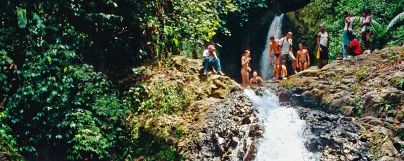 AIDA Ausflug auf Grenada: Regenwaldwanderung zu den Seven Sisters