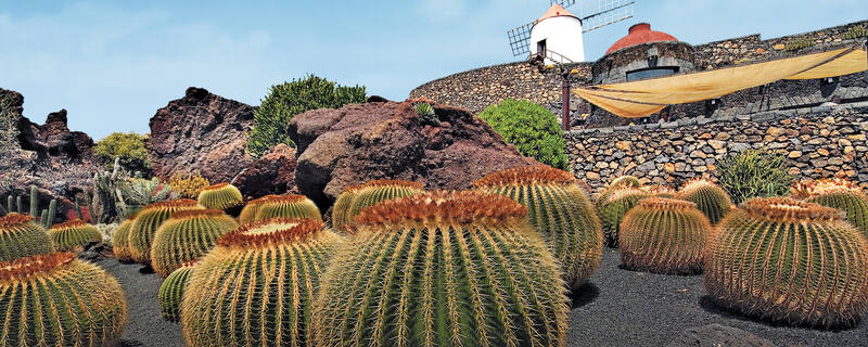 Kanaren Ansicht Strand