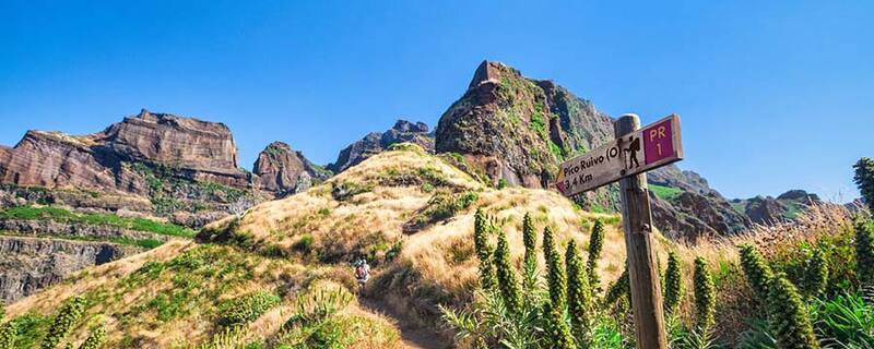 Ausflug auf Madeira - Wanderung entlang der Levadas