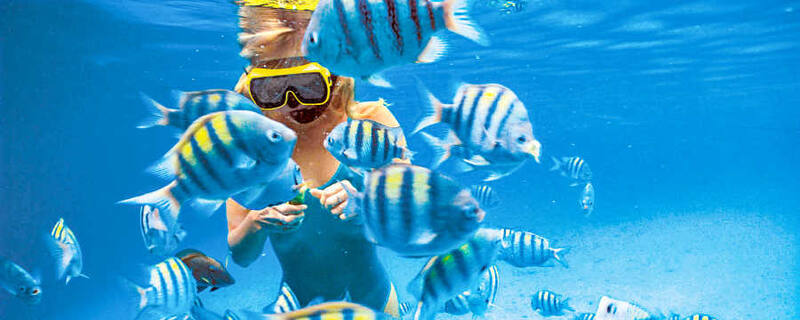 AIDA Ausflug auf Bonaire: Schnorchelsafari mit dem Elektrokatamaran