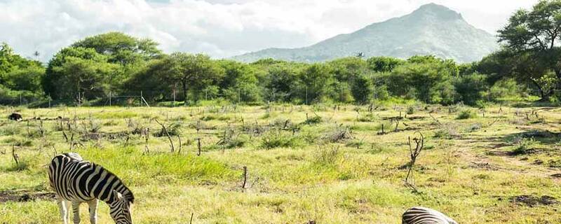 AIDA Ausflug auf Mauritius: Die Highlights von Mauritius