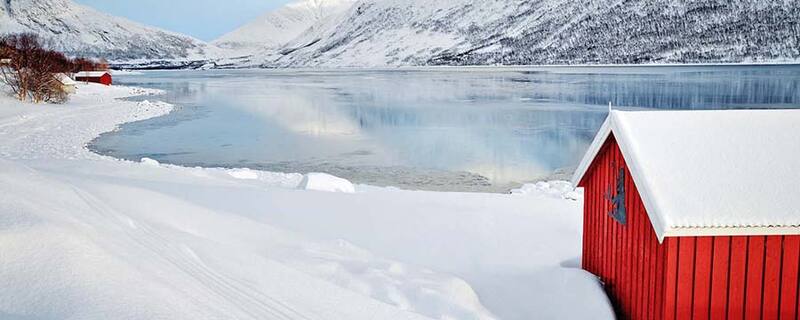 AIDA Ausflug ab Tromsø - Mit den Huskys auf Schlittenfahrt 