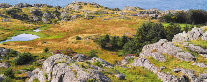 AIDA Ausflug ab Haugesund - Åkrafjord und Wasserfall Langfoss