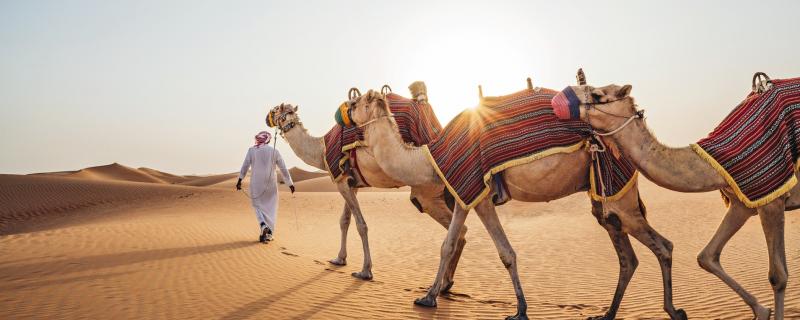 Orient AIDA Kreuzfahrt und Baden