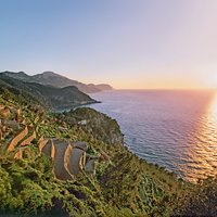 Terrassenfelder auf Mallorca bei Sonnenuntergang