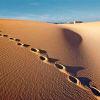 Ausflug auf Fuerteventura