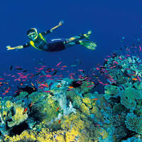 Ausflug zum Tauchen in der Karibik