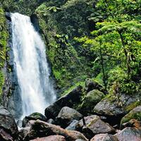 Ausflug auf Dominica