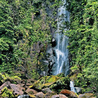 Ausflug auf Dominica