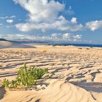 Ausflug auf Fuerteventura