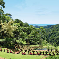 Ausflug auf Martinique