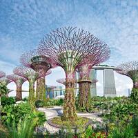 Kreuzfahrt ab Singapur