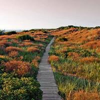 Ausflug an die Küste von Klaipeda