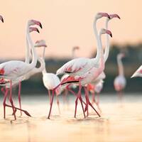 Ausflug auf Sardinien