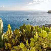 Ausflug auf La Gomera