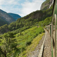 Ausflug ab Flåm