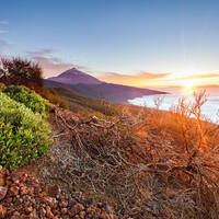 Ausflug auf Teneriffa