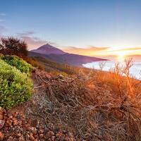 Ausflug auf Teneriffa