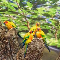 Ausflug auf Teneriffa