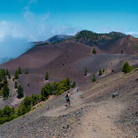 Ausflug auf La Palma