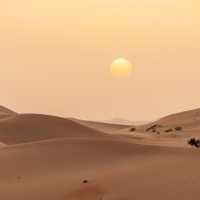 AIDA Kreuzfahrt ab Abu Dhabi