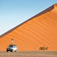 Ausflug ab Walvis Bay