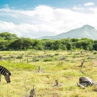 AIDA Ausflug auf Mauritius