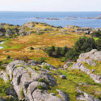 Ausflug ab Haugesund