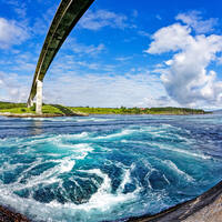 Ausflug ab Bodø zum  Saltstraumen