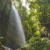 Ausflug auf La Palma