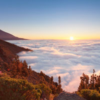 Kanaren & Madeira mit La Palma Ausflug Teide Nationalpark Teneriffa
