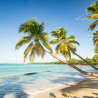 Ausflug auf Martinique