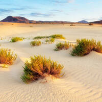 Ausflug auf Fuerteventura