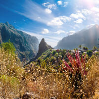 Ausflug auf Teneriffa