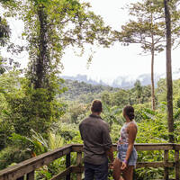 Ausflug in den Dschungel von Costa Rica