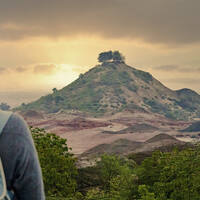Auf Safari ab Hafen Sir Bani Yas