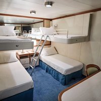 Interieur einer Innenkabine mit 4-Bett-Belegung