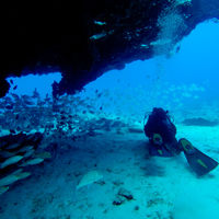 Kanaren & Madeira mit La Palma Tauchen