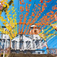 Kanaren & Madeira mit La Palma Ausflug Land & Leute kennenlernen