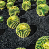 Kanaren & Madeira mit La Palma Ausflug auf Lanzarote