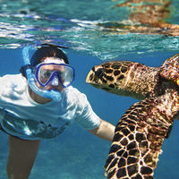Tauchen auf Kreuzfahrt Ausflügen