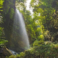 Ausflug auf La Palma