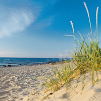 Ostsee-Dünen