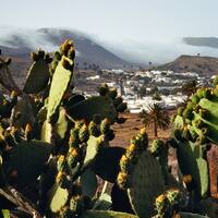 Ausflug auf Lanzarote