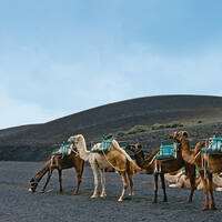 Ausflug auf Lanzarote