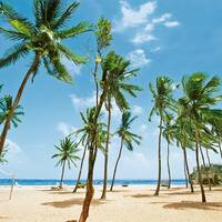 Karibikkreuzfahrt mit AIDAperla ab Barbados